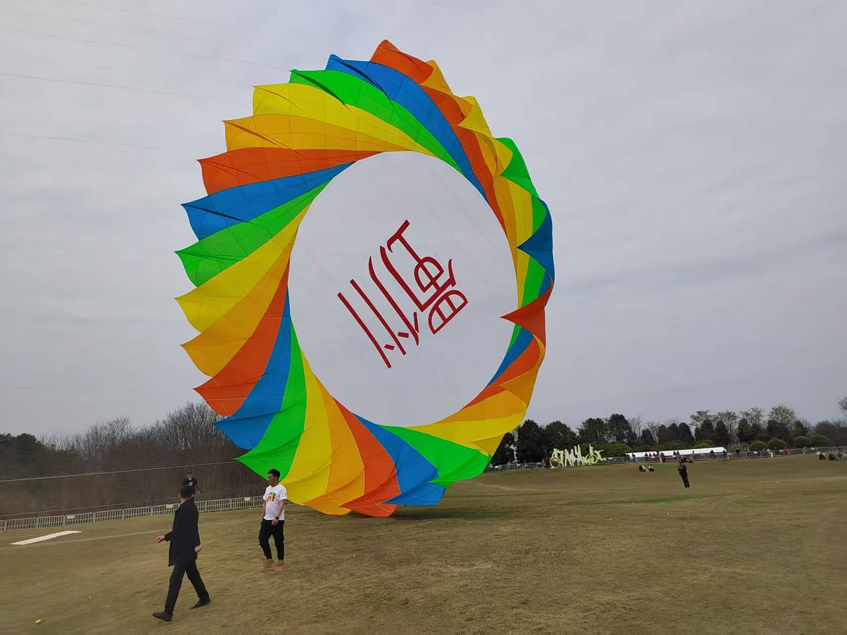 河池市软体风筝定制风筝批发 - 价格