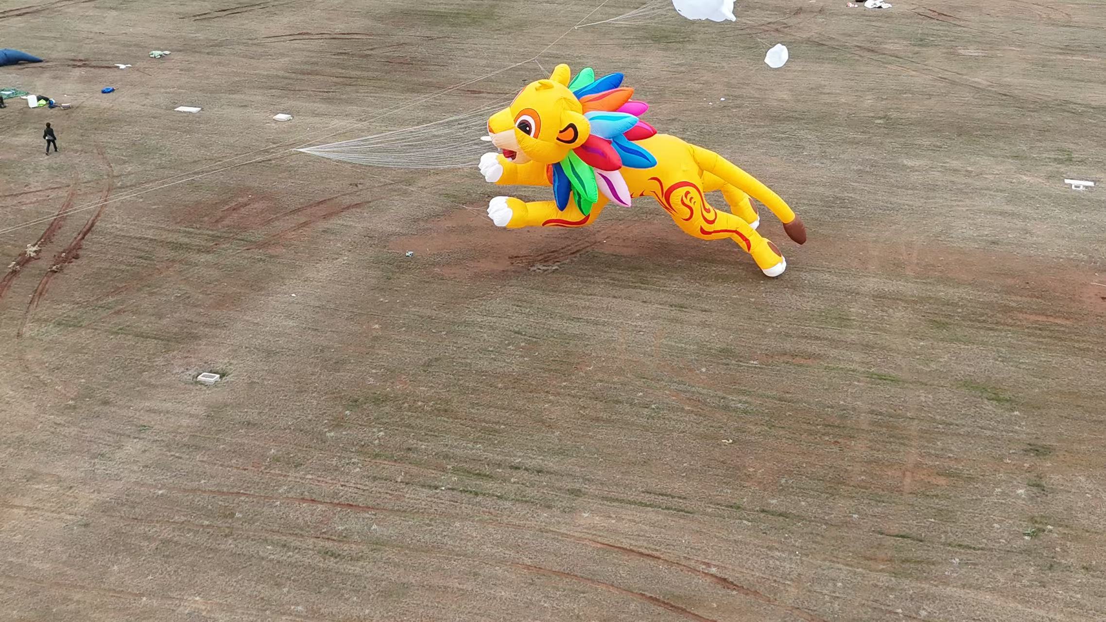 河池市品牌风筝定制软体风筝定制 - 厂家