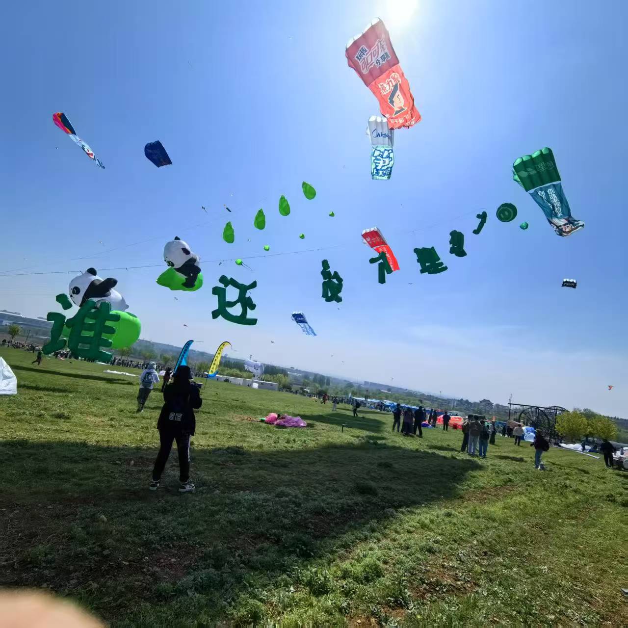 河池市风筝定制风筝定制 - 排名